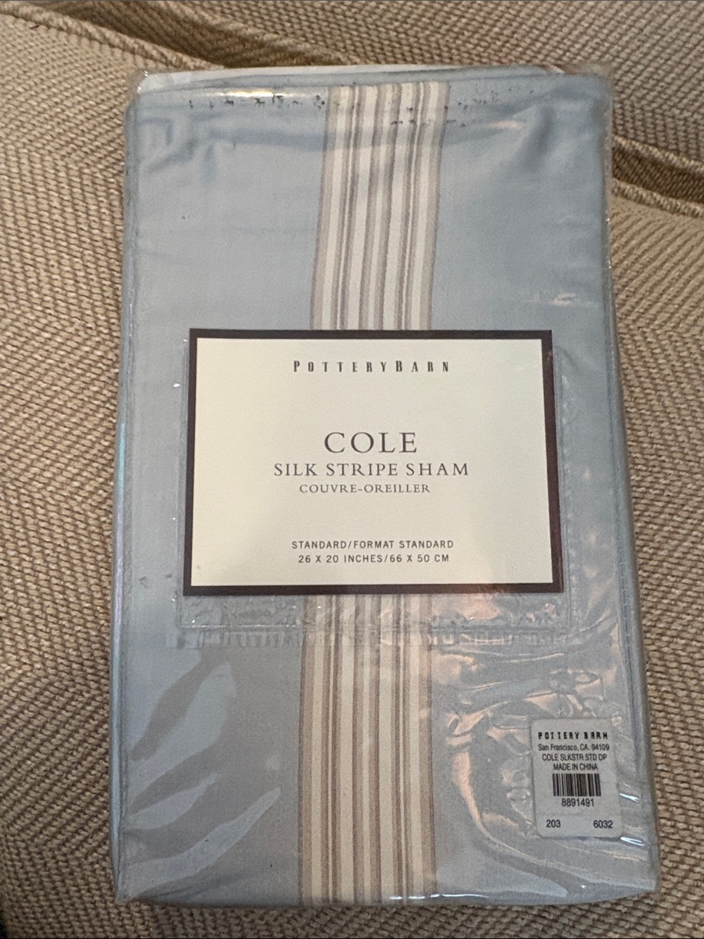 Pottery Barn Silk Stripe Sham in Light Blue and White